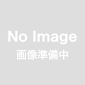 ◆在庫限り半端処分◆タイベストフィルター 85×85mm　1袋（17枚入）